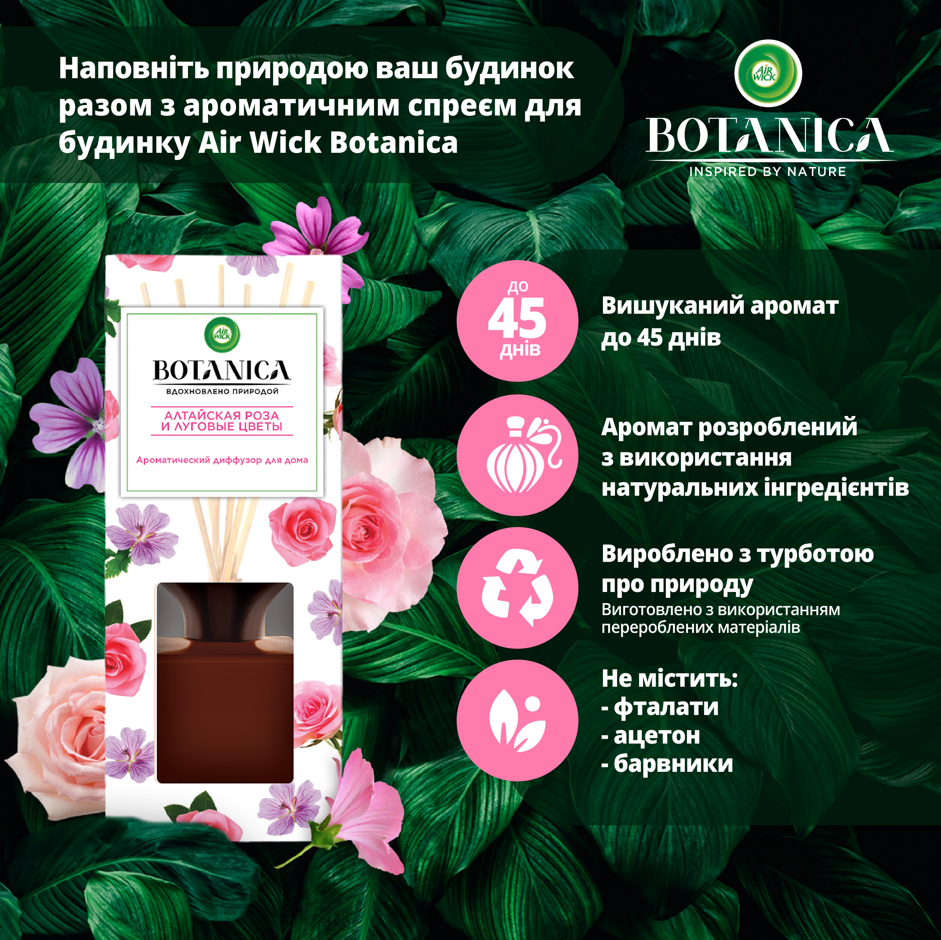 Отзывы о Ароматический диффузор Air Wick Botanica в комплекте с деревянными  палочками Алтайская роза и луговые цветы 80 мл (4640018993695) | ROZETKA