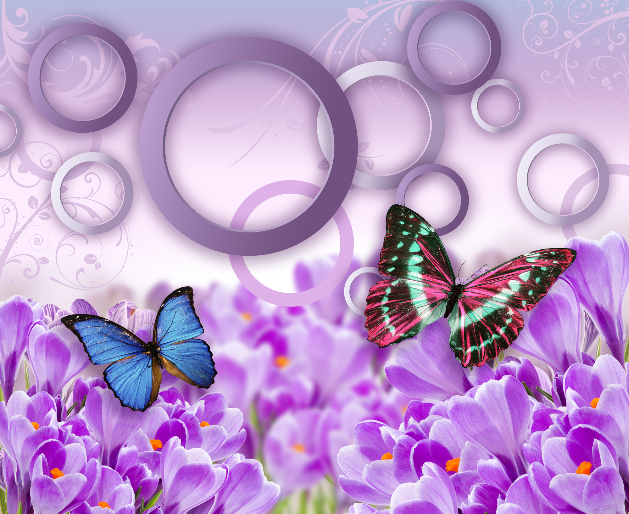 

Фотообои 3D '3D бабочки' (3192) , Гладь
