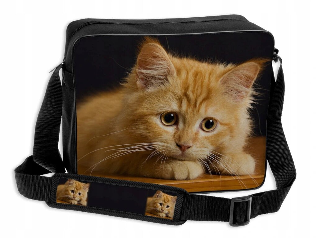 

Молодёжная сумка через плечо A4 Wenecja Рыжий котёнок 30 x 35 x 12 см (KOT 3)