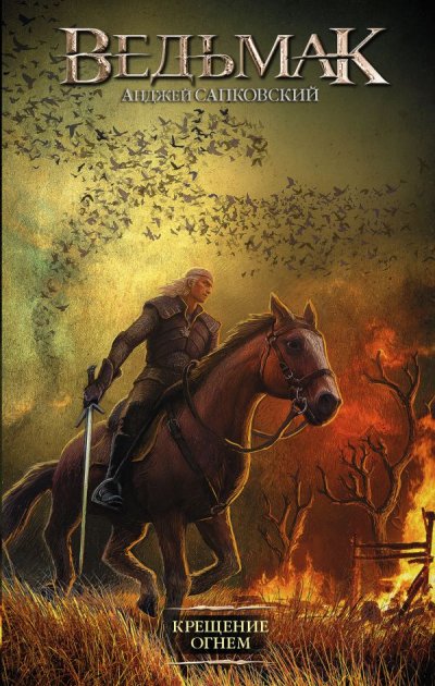

Ведьмак. Крещение огнем (книга 5) - Анджей Сапковский