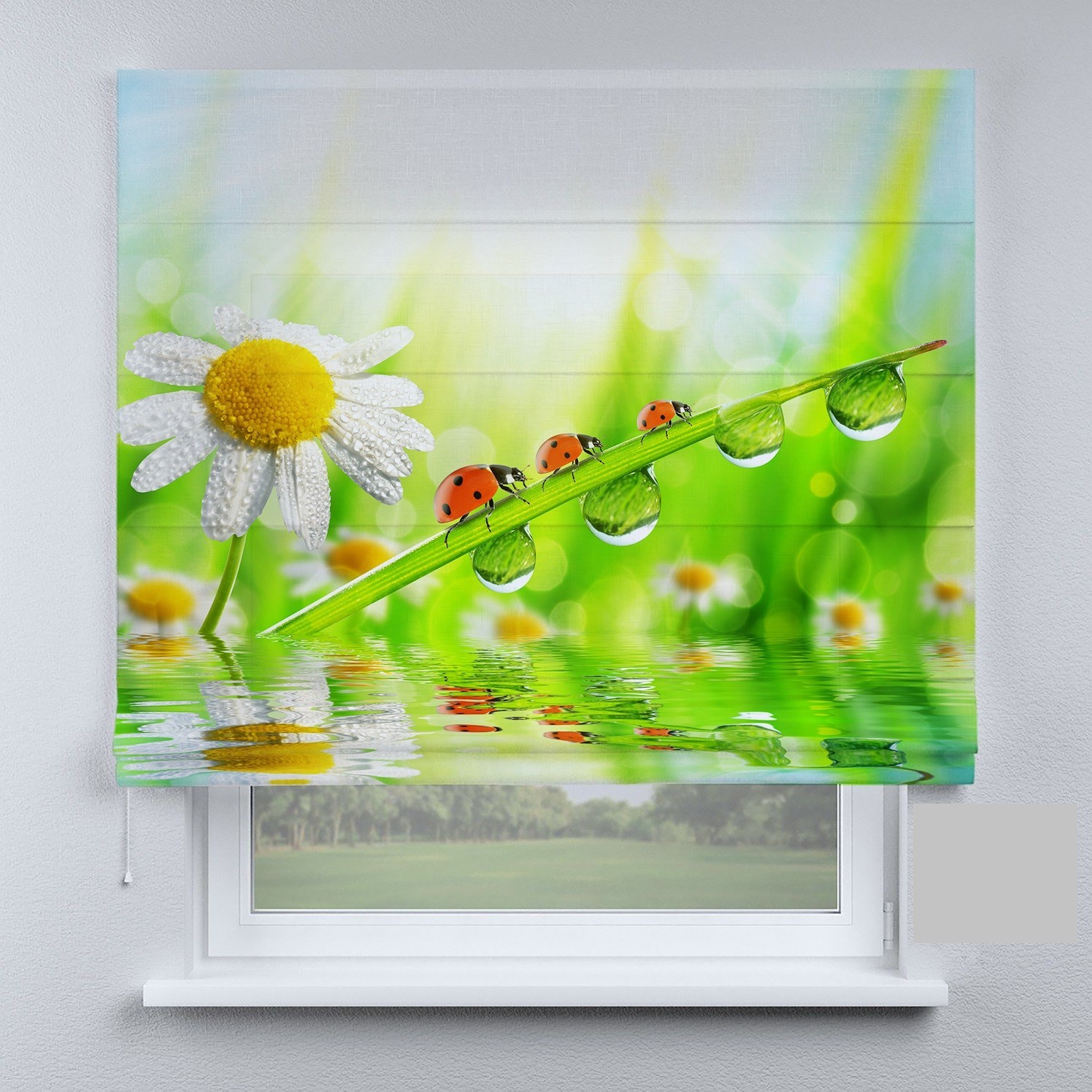 

Римские шторы DECOLIV ромашка 60*170 см