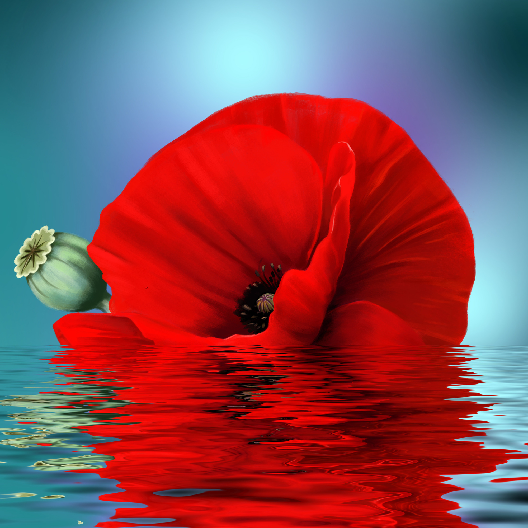 

Фотообои Цветы 'Мак на воде' (4517) , Живопись