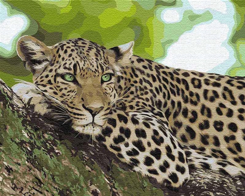 

Картина для рисования по номерам Идейка Отдых хищника 40x50 см (в обложке) (КНО4175)