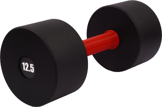 

Гантель цельная Champion 15 кг с полимерной накладкой на грифе (CHM00416-15)