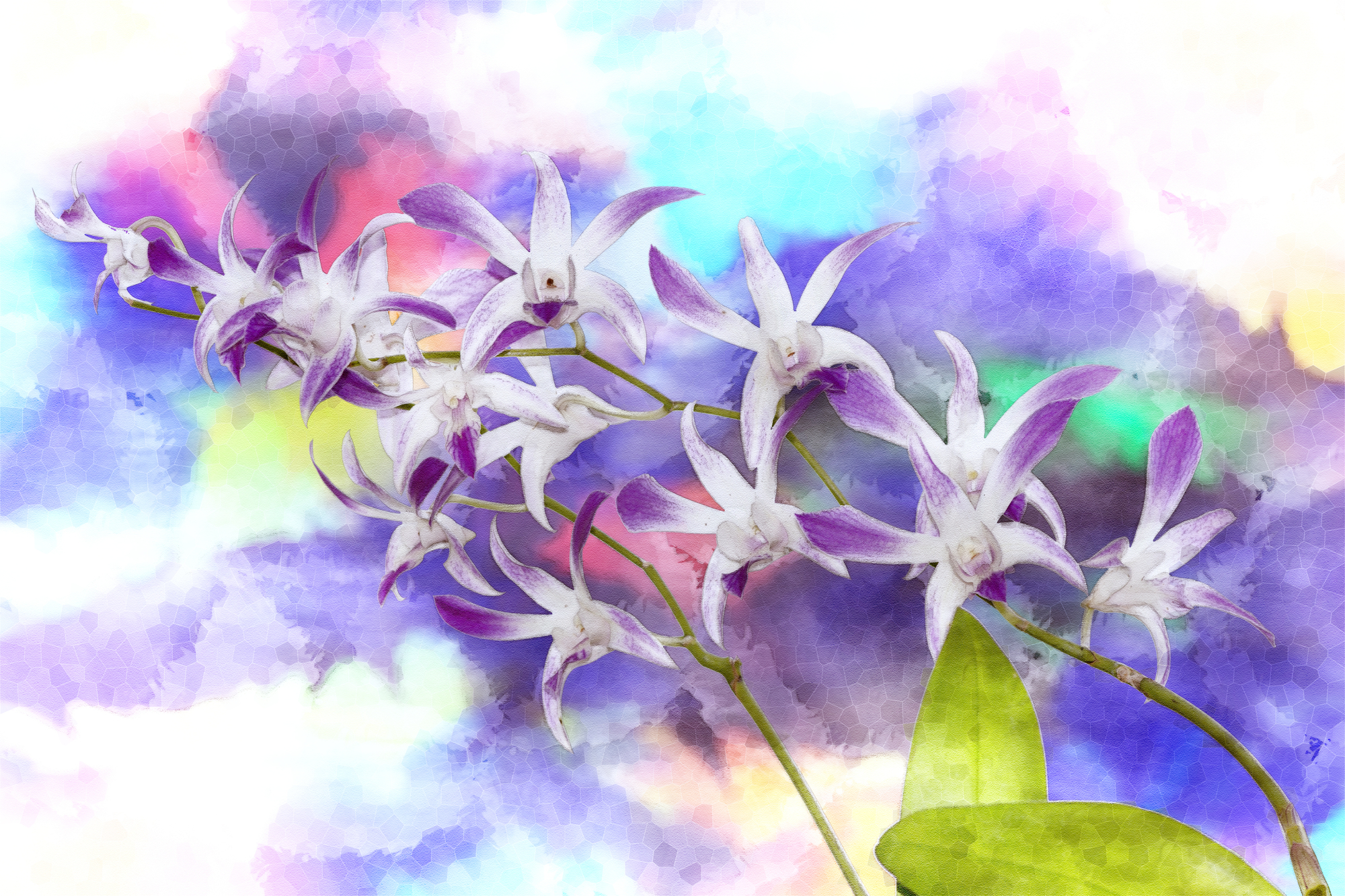 

Фотообои Цветы 'Орхидеи' (4303) , Живопись