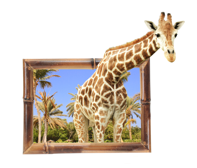 

Фотообои 3D '3d жираф' (2590) , Деко