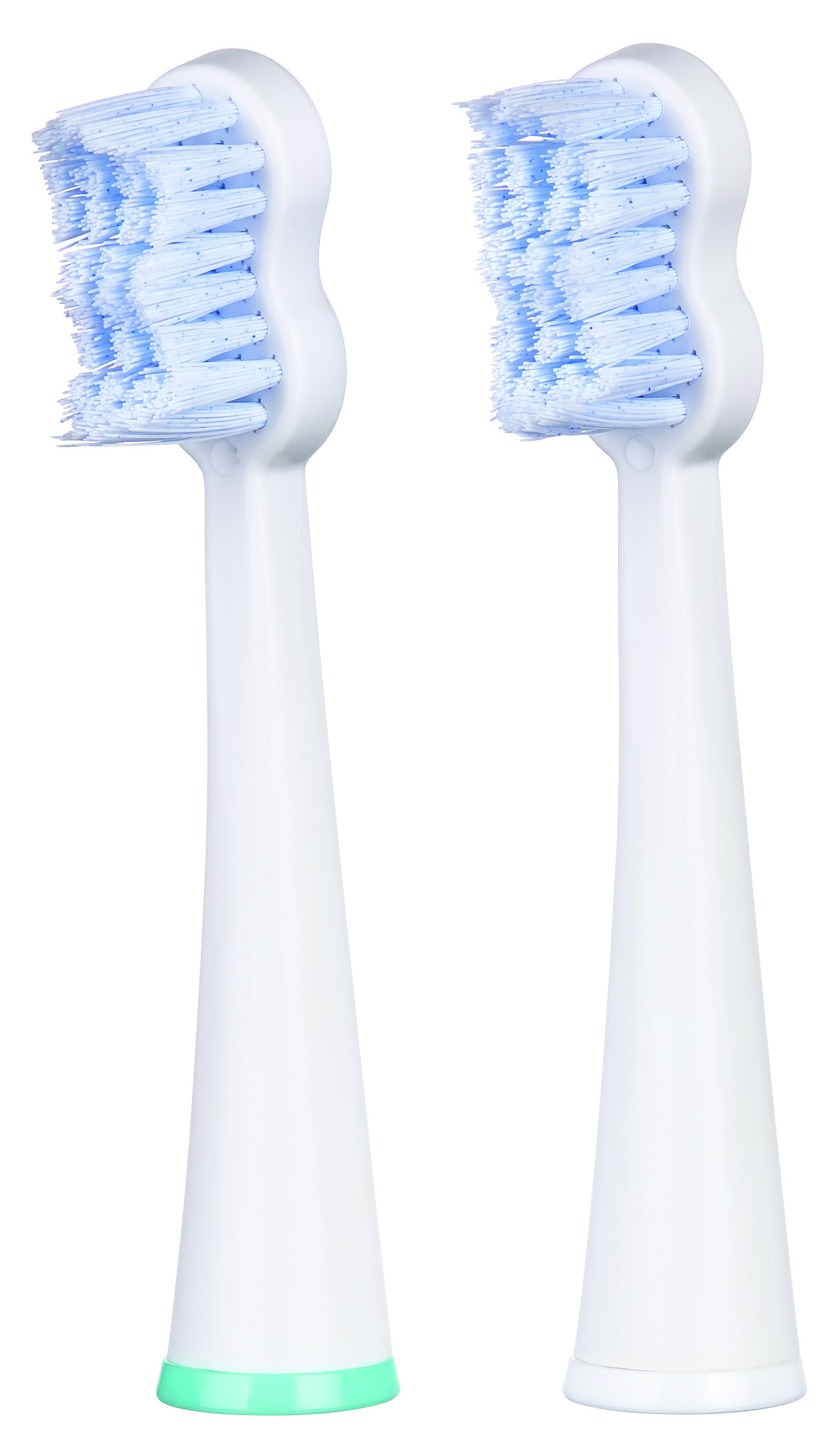 

Насадки для электрической зубной щетки EDEL WHITE EW-SG2W