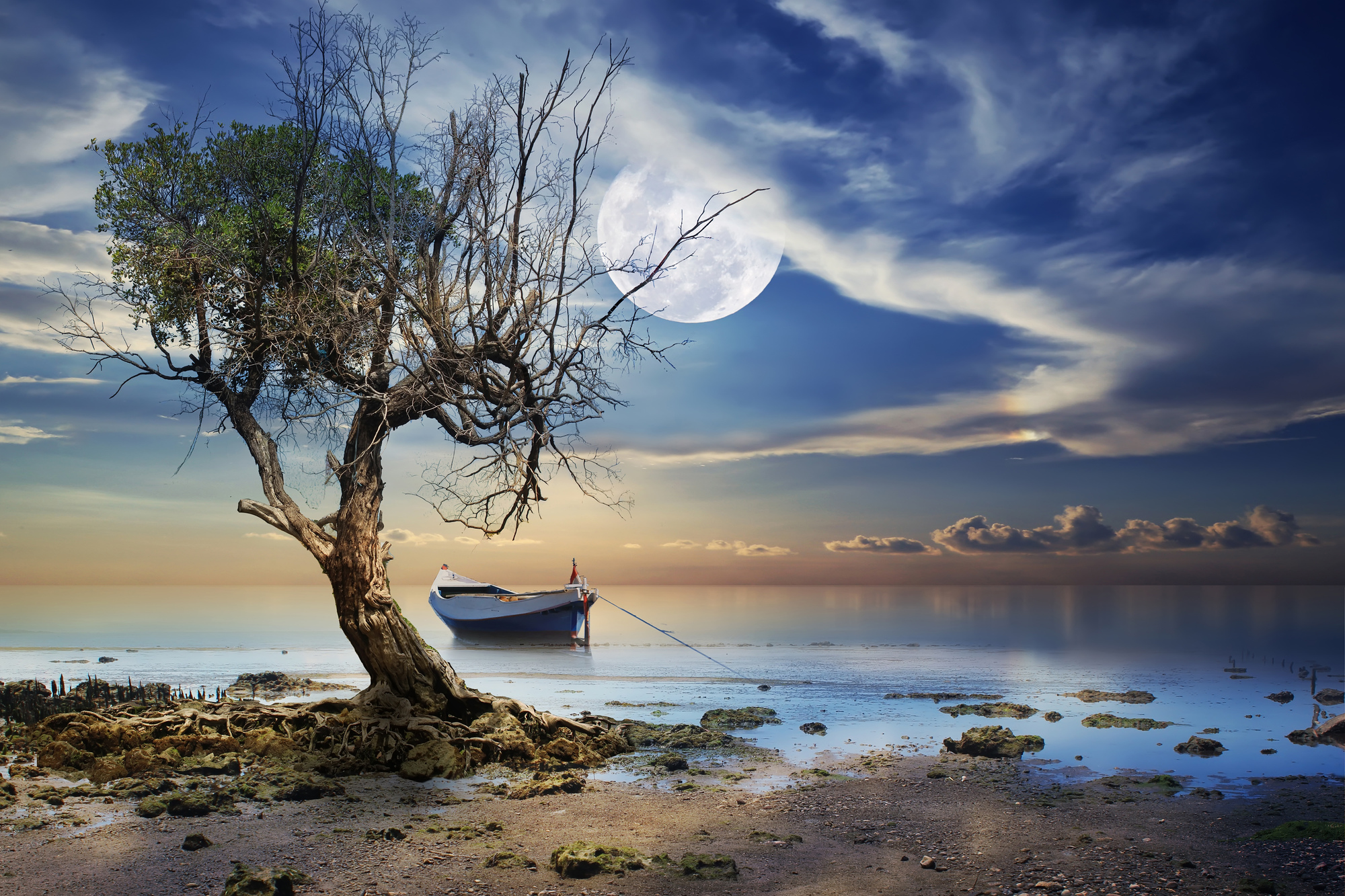 

Фотообои Море 'Дерево ' (4511) , Кожа