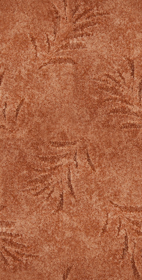 

Ковер Domo FERN FERN 881 4x3 коричневый