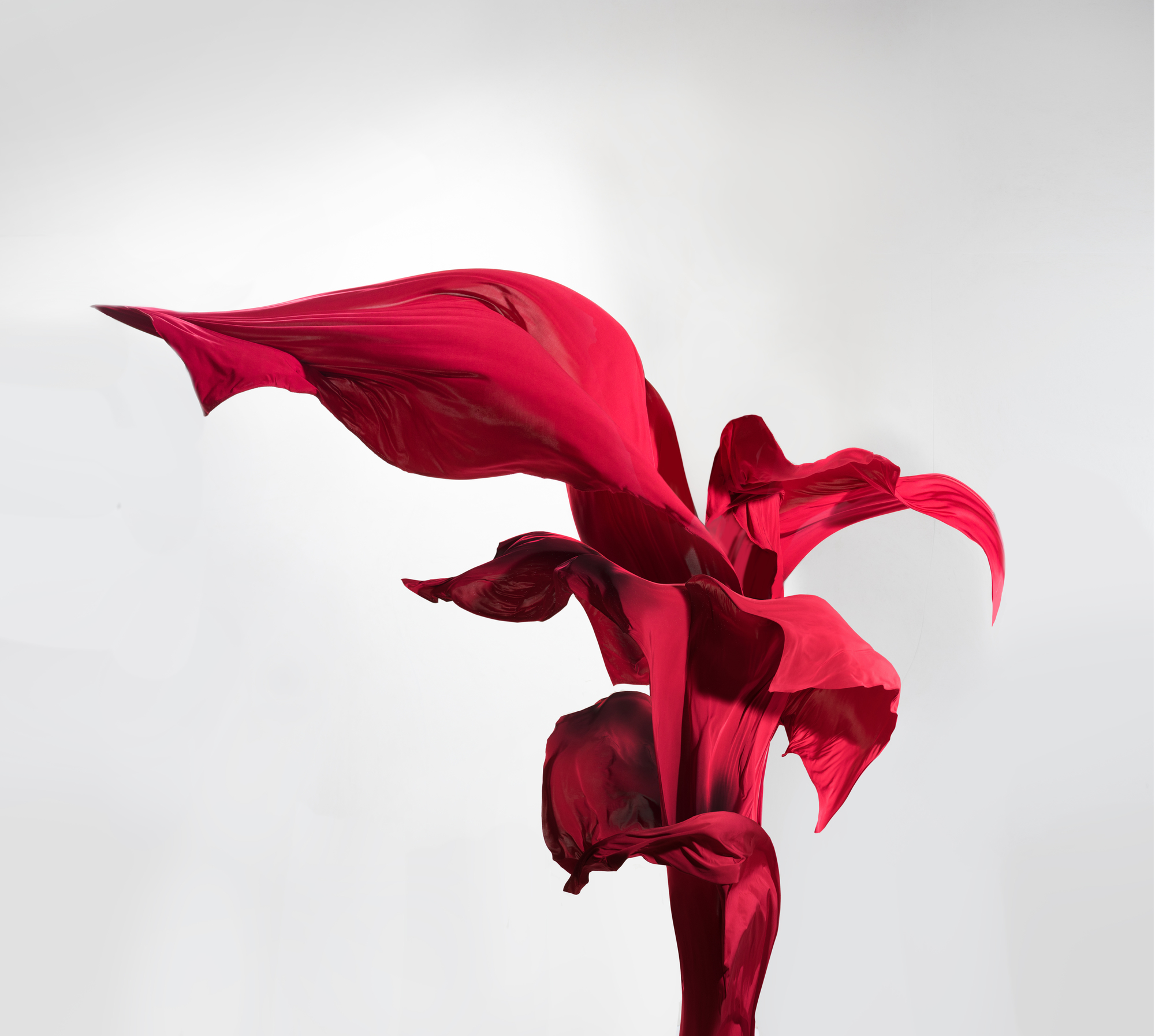 

Фотообои Цветы 'Цветок на ткани' (4135) , Иней