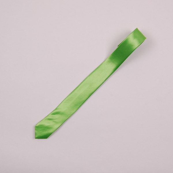 

Атласный галстук-лента A 40008-green зеленый цвет