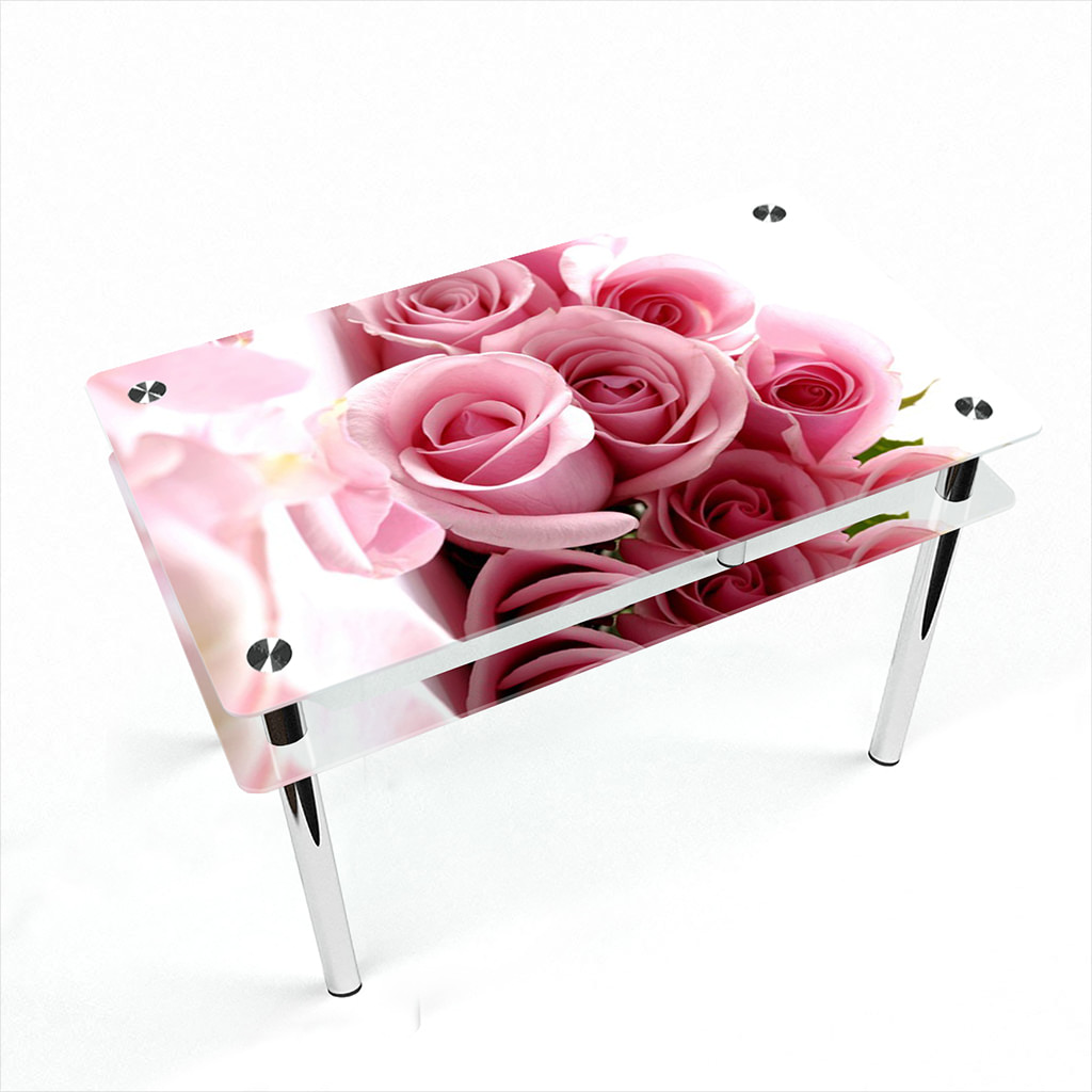 

Стіл БЦ-стіл Прямокутний з проходить полицею Pink Roses Еко (610 x 910 x 750)
