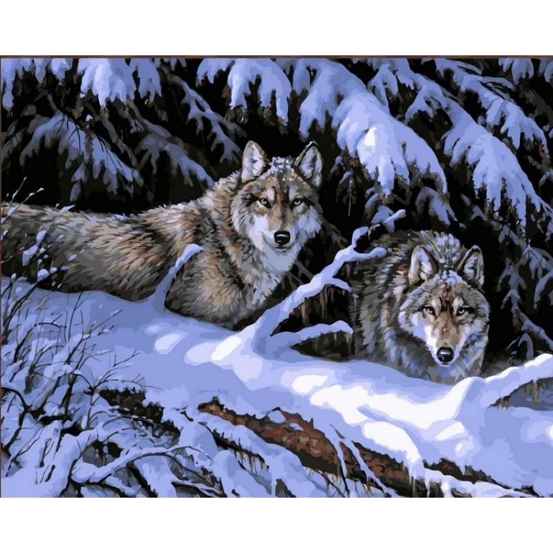 

Картина рисование по номерам Babylon Волки в лесу. Худ. Розмари Миллетт 40х50см VP121 набор для росписи, краски, кисти, холст