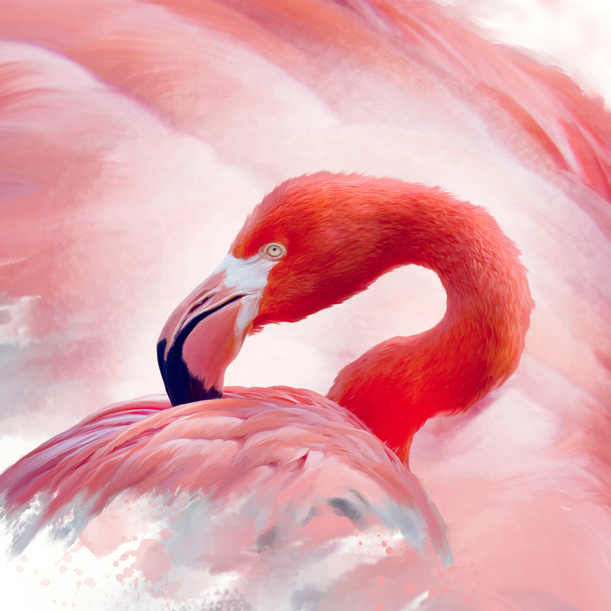 

Фотообои Арт 'Фламинго' (4994) , Холст