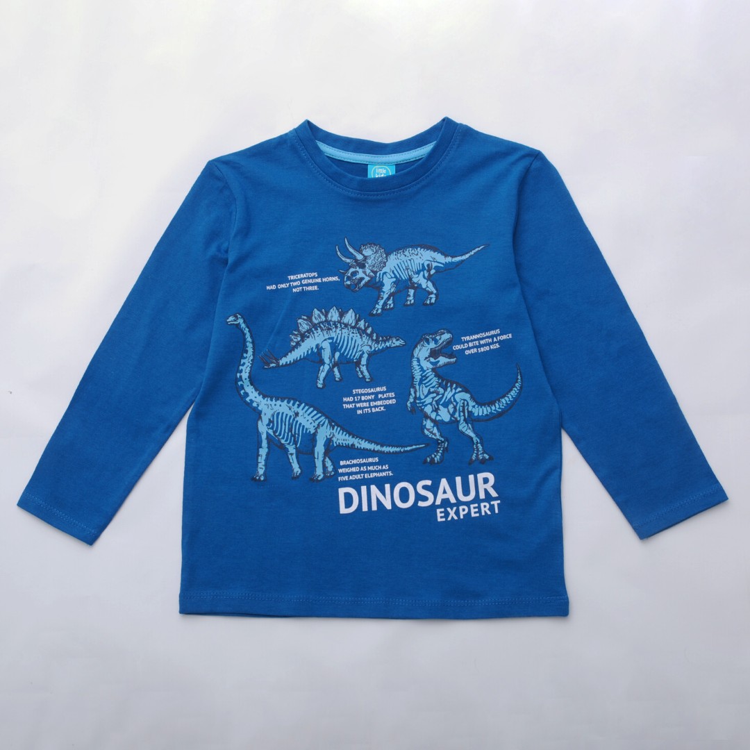 

Лонгслив для мальчика Pepco 104 Dino синий