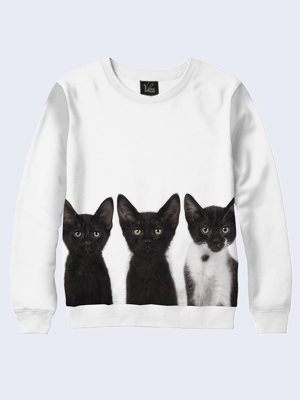 

Мужской свитшот Vilno с фотопринтом Three cats  (vl-2940, Мужской свитшот Vilno с фотопринтом Three cats M (vl-2940)