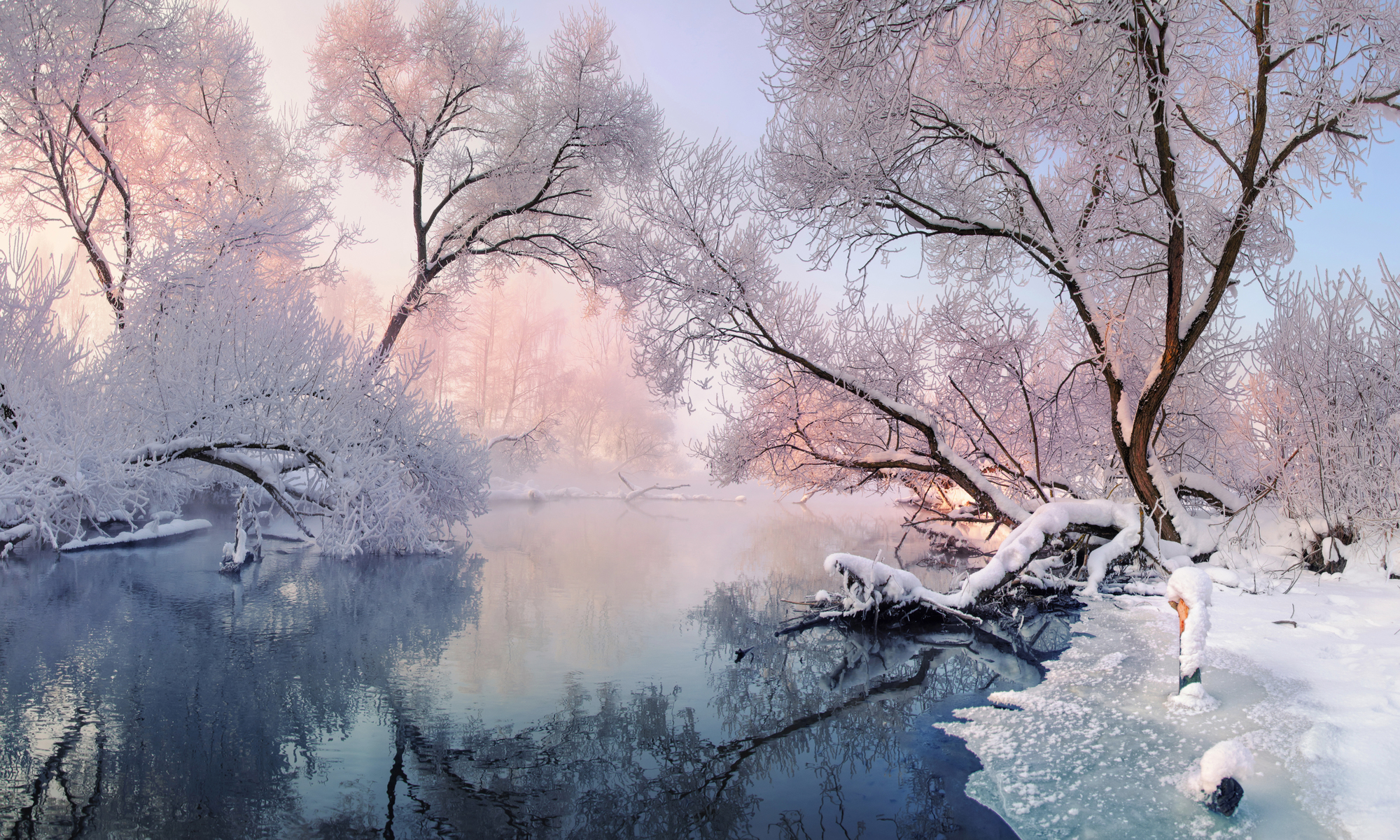 

Фотообои Природа 'Зима' (3683) , Живопись