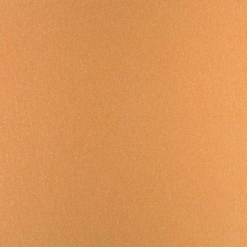 

Закрытая рулонная штора RolDecor Black Out элит Umbra 53x150 см 060 Оранжевая BV1132-53