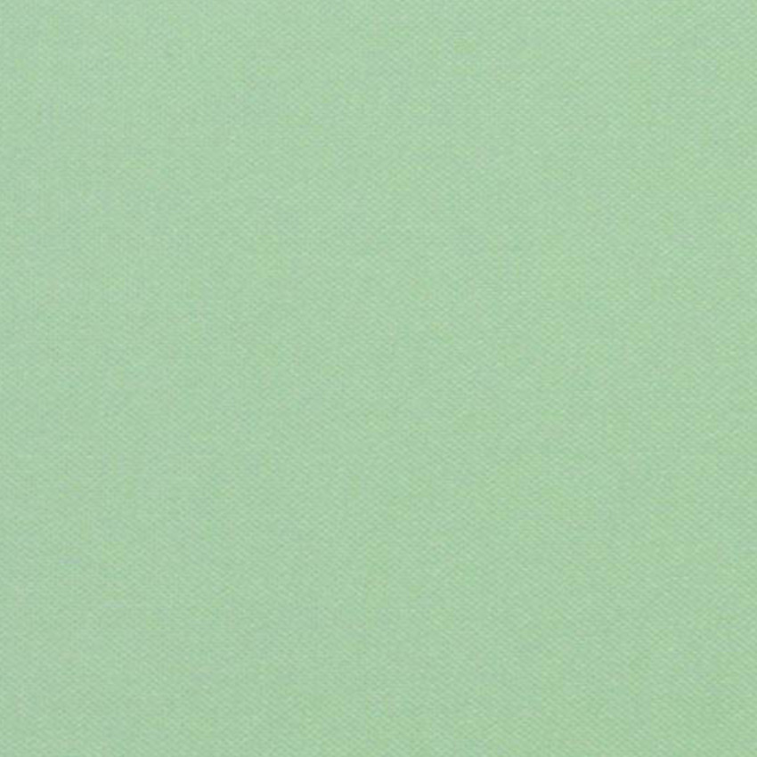 

Закрытая рулонная штора RolDecor Black Out элит Umbra 52x150 см 055 Фисташковая BV1126-52