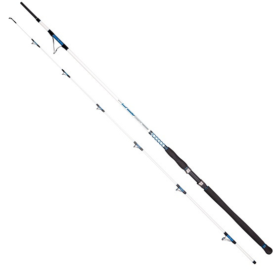 

Спиннинг Dragon Boat Master Jig 2.00m 40-200g (CHC-24-70-200)