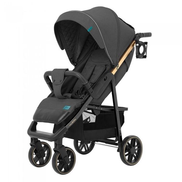 

Прогулочная коляска Carrello Echo Midnight Gray (CRL-8508/2)