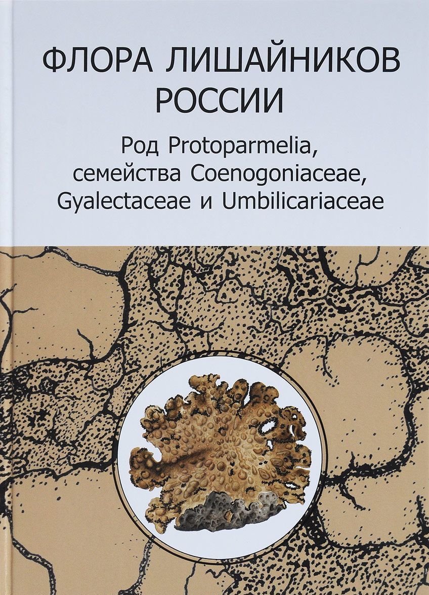 

Флора лишайников России. Род Protoparmelia. Семейства Coenogoniaceae, Gyalectaceae и Umbilicariaceae