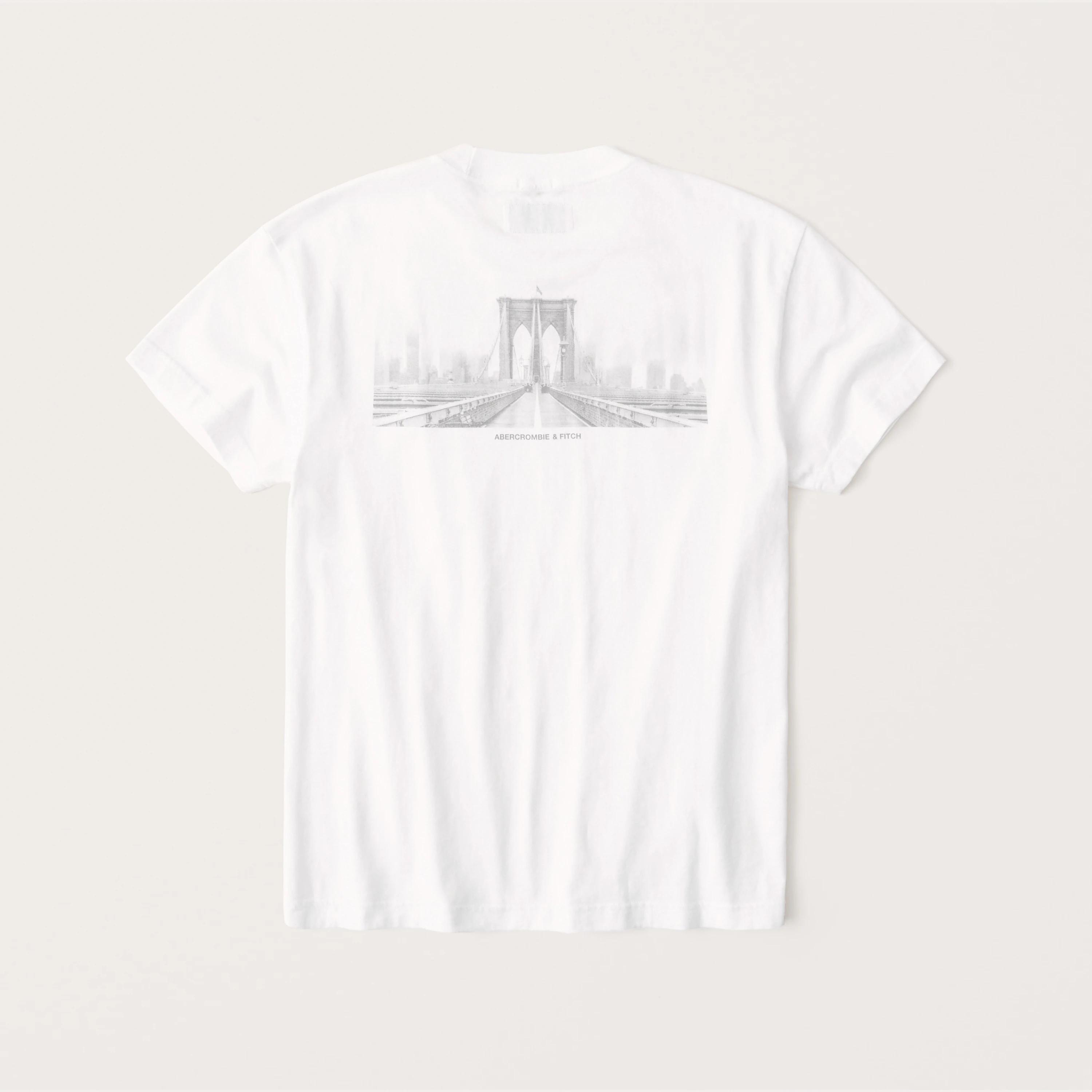 

Белая футболка - мужская футболка Abercrombie & Fitch AF8616M  Белый, Белая футболка - мужская футболка Abercrombie & Fitch AF8616M M Белый