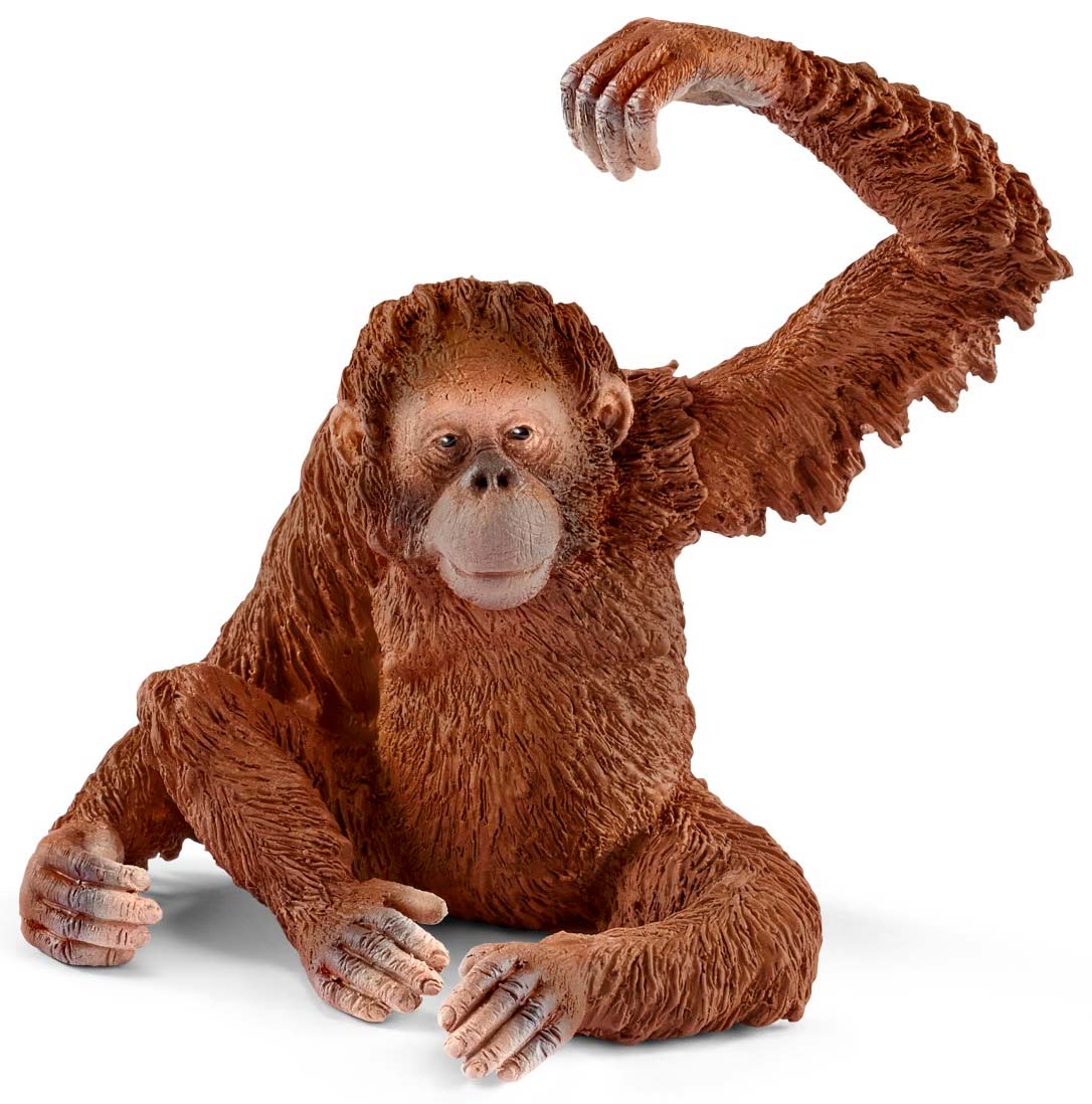 

Орангутан (самка), игрушка-фигурка, Schleich (12-37848)