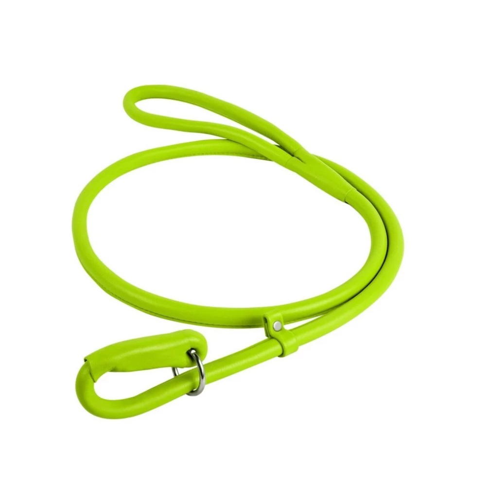 

Поводок-удавка для собак кожаный круглый Collar Waudog Glamour 13 мм/183 см, салатовый