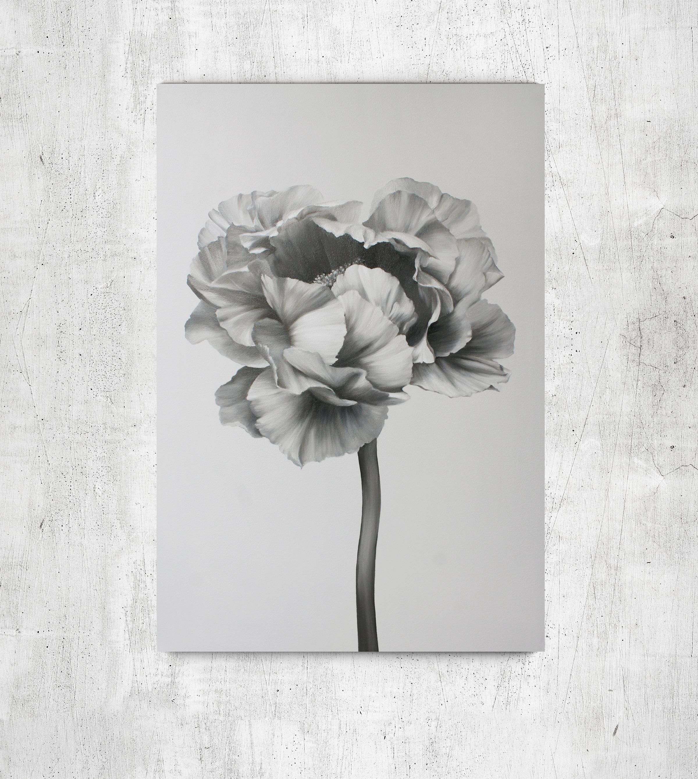 

Картина цветы пионы масляными красками на холсте Mati Black and white peony 2 Ручной работы 80х120 см (AO-266-F 80-120)