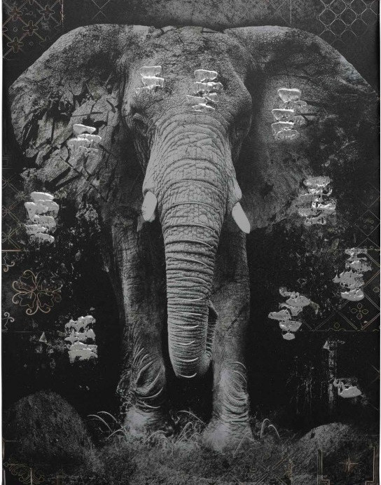 

Картина на стену Kayoom Elephant Black/Grey 75х100 см