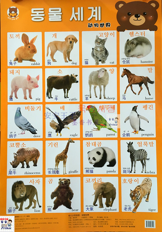

Плакат на тему Животные на корейском, китайском, английском языках
