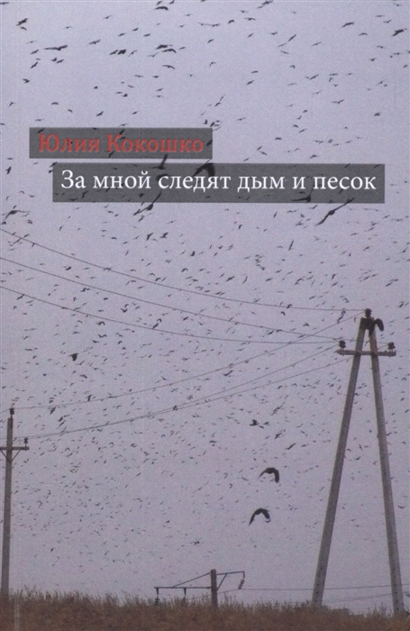 

За мной следят дым и песок