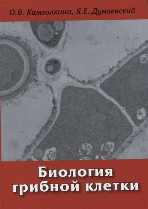 

Биология грибной клетки. Учебное пособие (1636046)