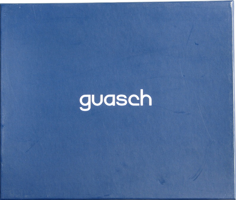 

Набор мужских носовых платков Guasch Sena 90-04 (1089)