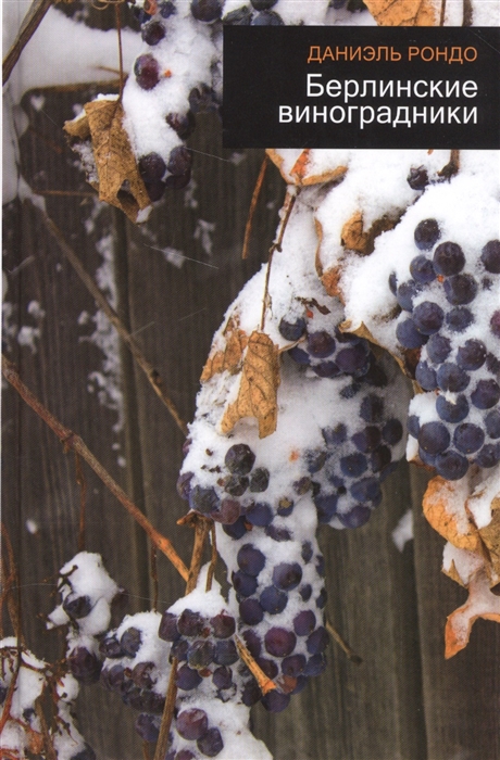 

Берлинские виноградники (1152556)