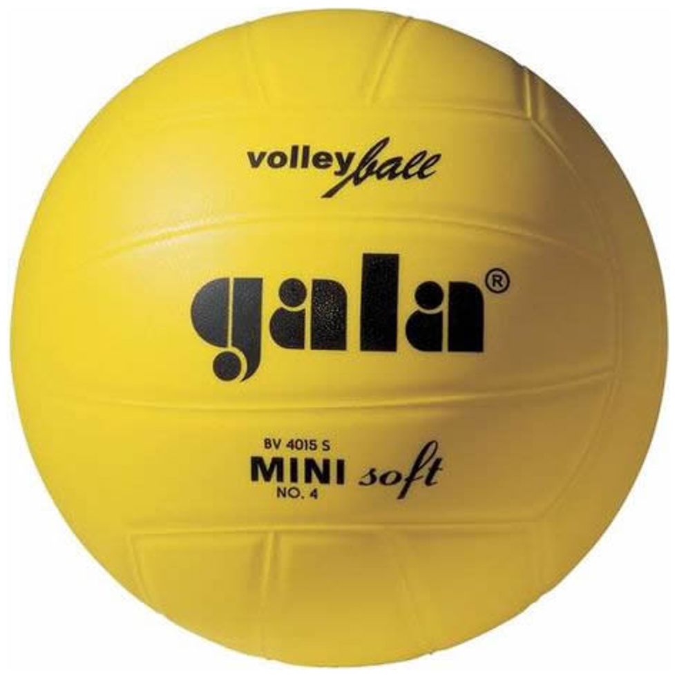 

Мяч волейбольный Gala Mini Soft BV4015SC