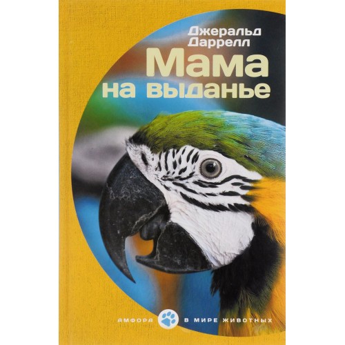 

Мама на выданье (1290395)