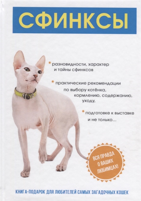 

Сфинксы (1622625)