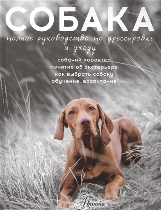

Собака. Полное руководство по дрессировке и уходу