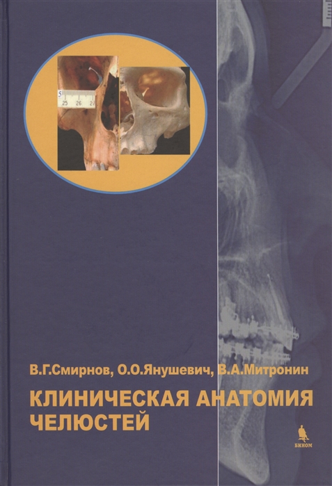 

Клиническая анатомия челюстей