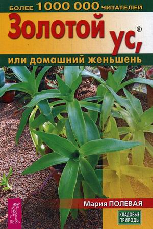 

Золотой ус, или домашний женьшень (1634507)