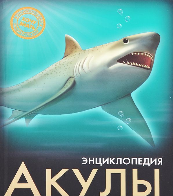 

Акулы (872055)