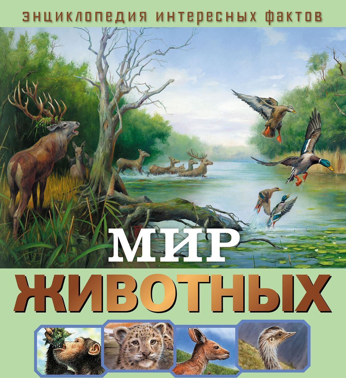 

Мир животных. Развивающая книга