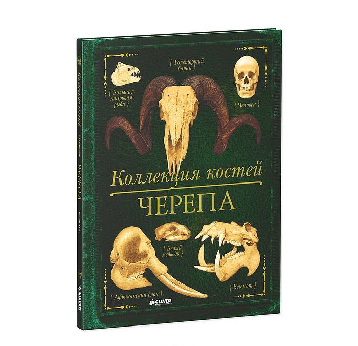 

Коллекция костей. Черепа