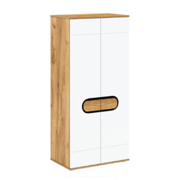 

Шкаф распашной двухдверный в гостиную из ДСП+МДФ RODAN F Blonski