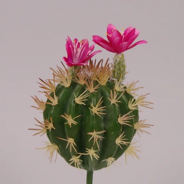 

Кактус искусственный Flora с розовым цветом 27 см. 71451