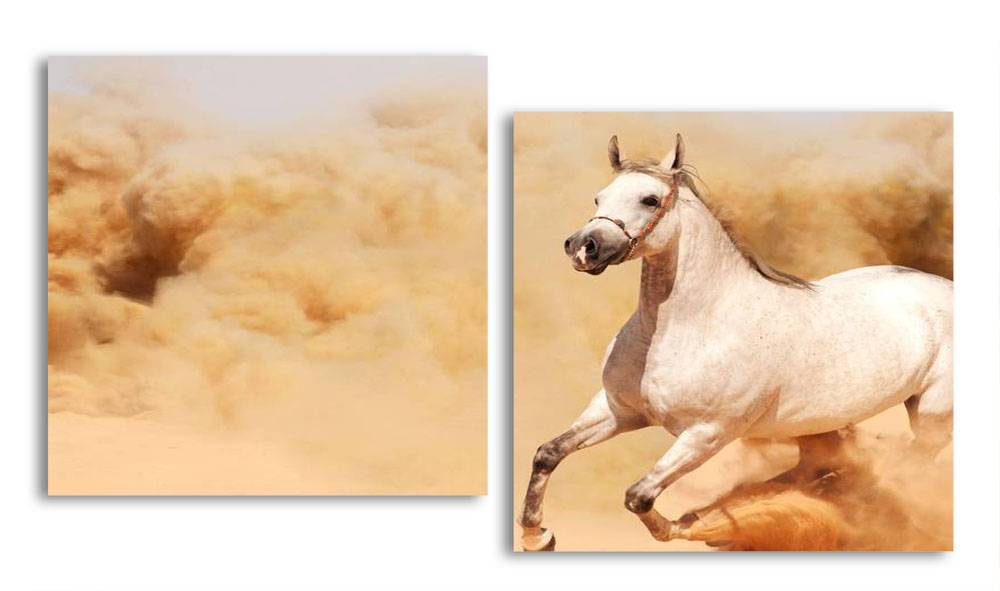 

Модульная картина LaPrint Лошадь в пустыне 200х109 см