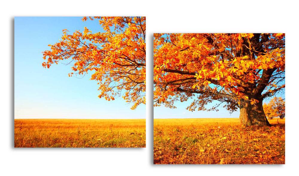 

Модульная картина LaPrint Осенний дуб 200х109 см