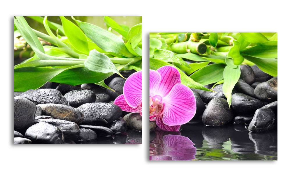

Модульная картина LaPrint Орхидея и вода 200х109 см